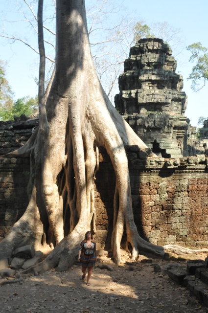 20120205-051433.jpg
